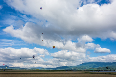 梅雨の合間のバルーン大会-2