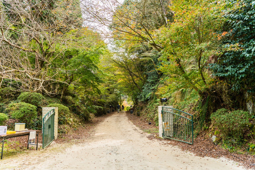 磁石場への通路-1