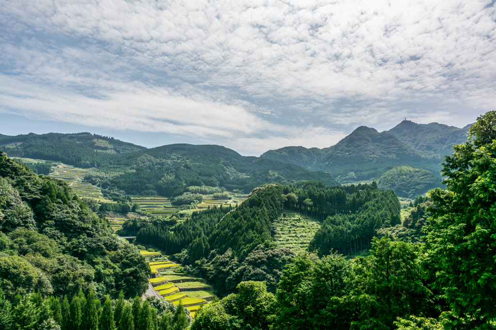 五百羅漢展望所から