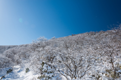 ピーカンの登山道