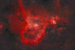 IC1805_2024.11.03