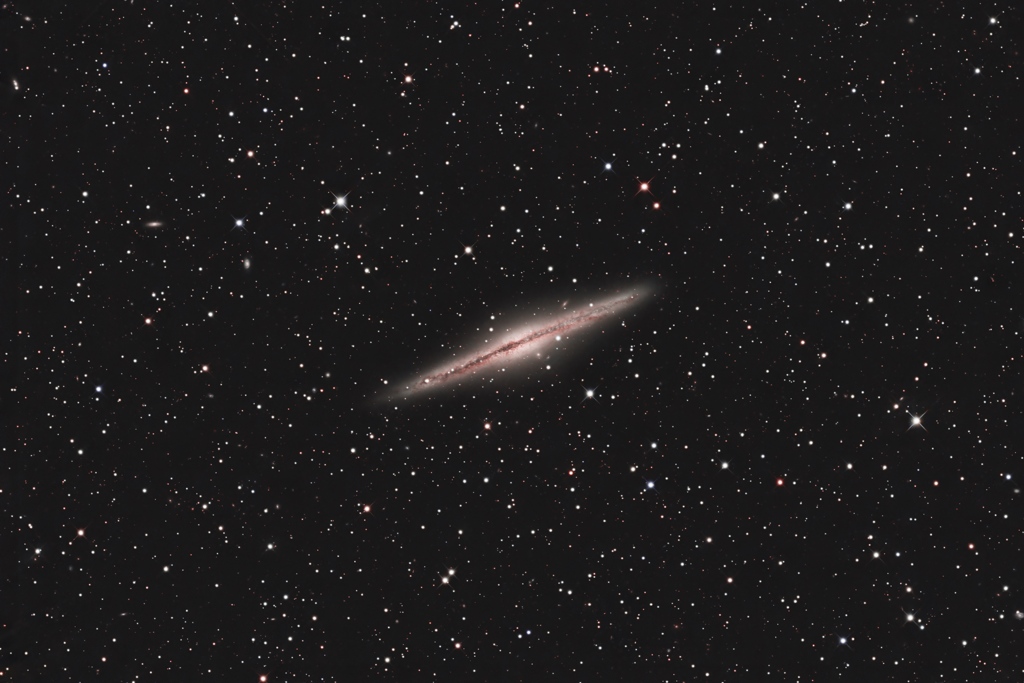 NGC891_2025.10.17