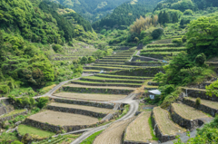 日向の棚田-2