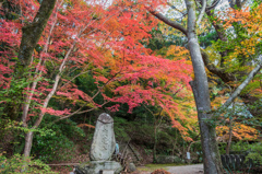 仁比山神社-月夜見命塔_2014.11.20