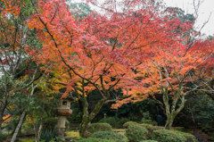 西渓公園-2