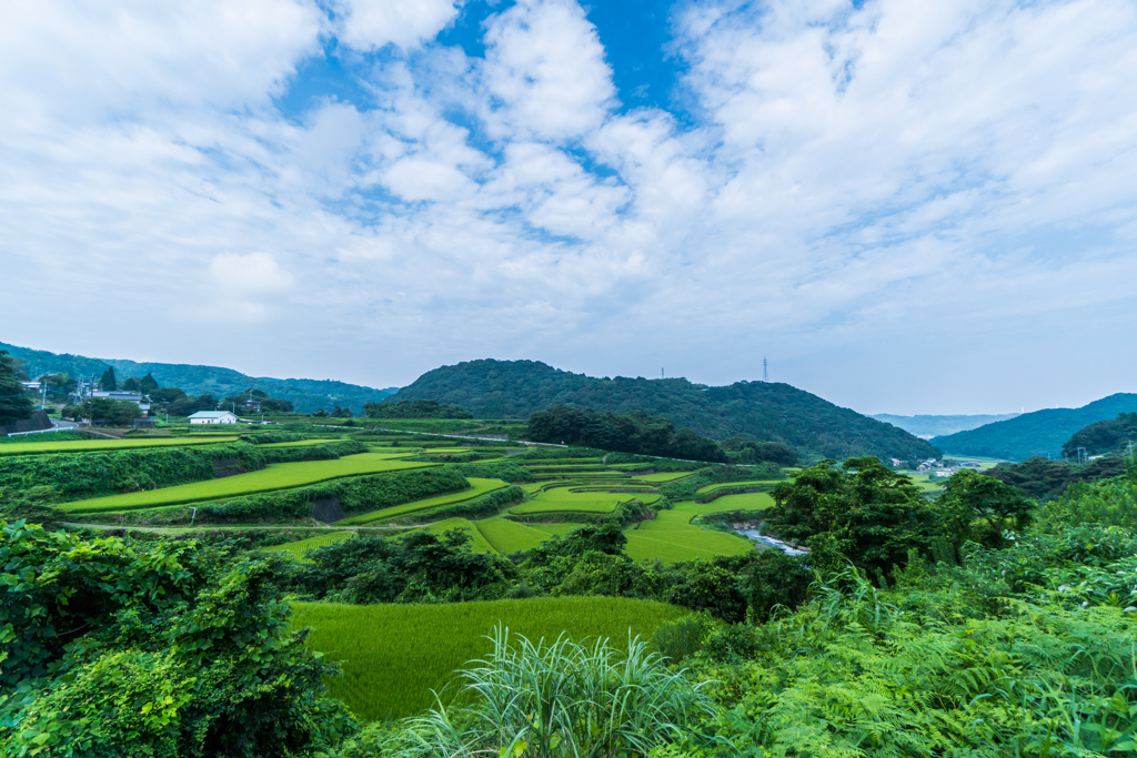 座川内の棚田