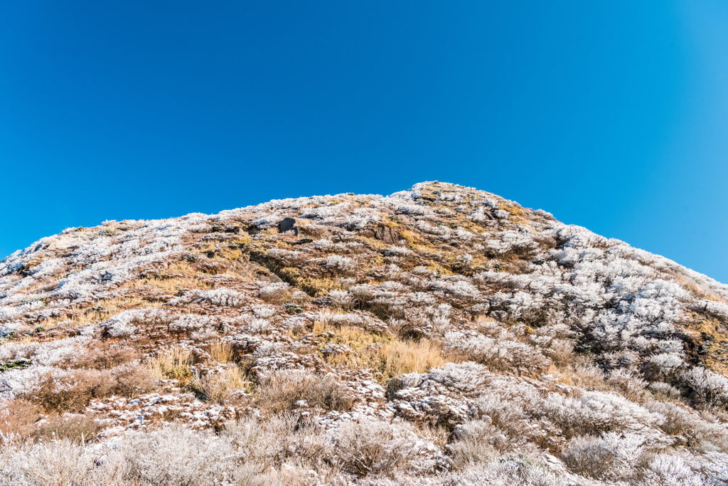 国見岳を見上げる