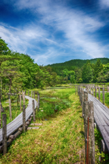 樫原湿原にて