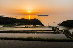 納所2015.05.01_1844