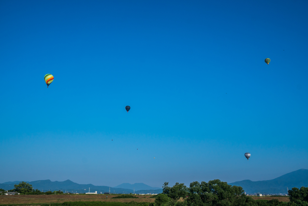 今朝のバルーン-4