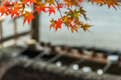 仁比山神社-手水場_2014.11.20