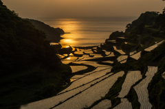 浜野浦2014.05.09-04