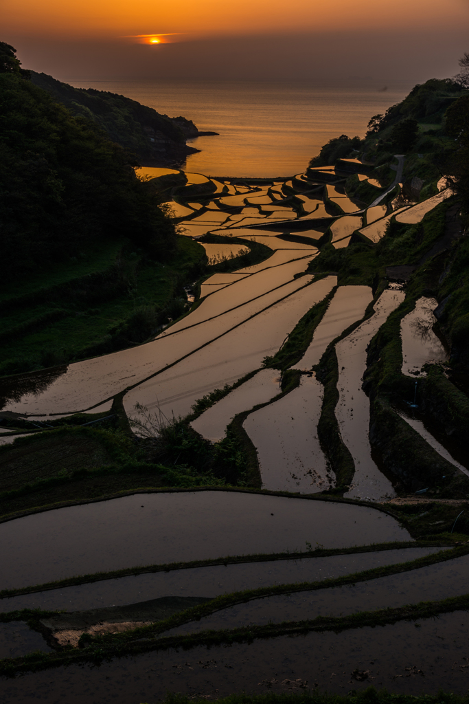浜野浦2015.04.21_1845