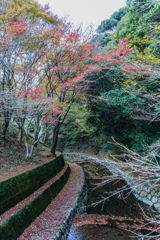 竜門峡の紅葉-1