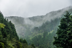 煙る山