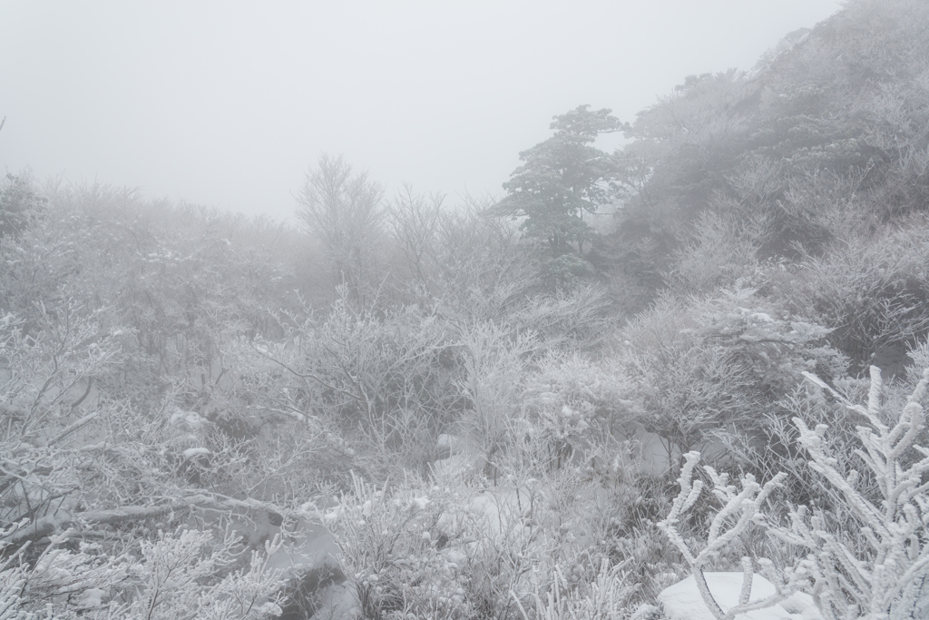 霧氷沢にて-4