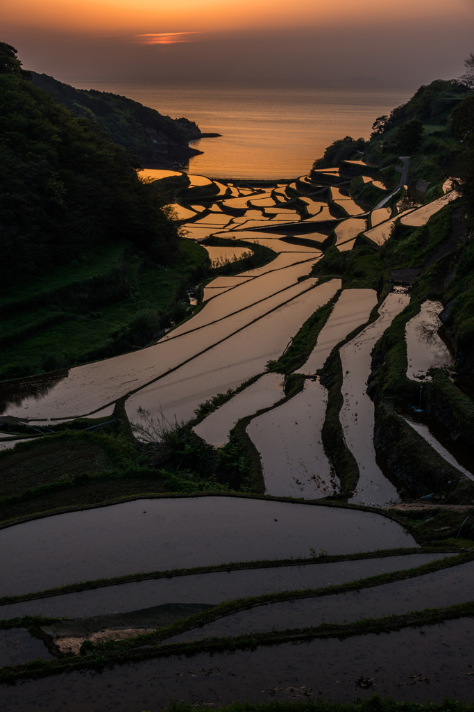 浜野浦2015.04.21_1847