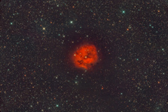 IC5146_2020.07.31