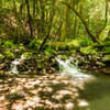 山吹水源の渓流