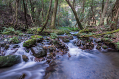 山吹水源の渓流