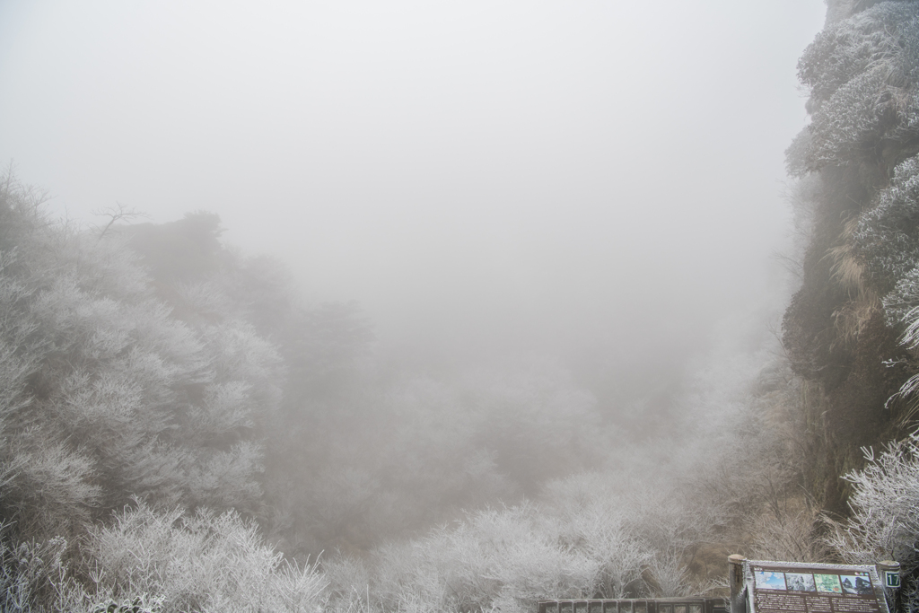 霧氷沢正面