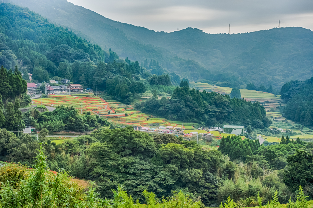 江里山棚田-2