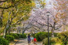 お母さんといっしょ