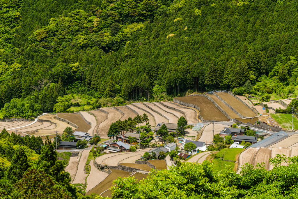 岳の棚田