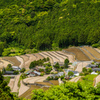 岳の棚田