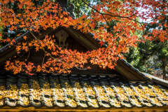 杉山白石神社-3