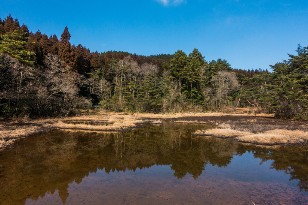 冬の湿原-1