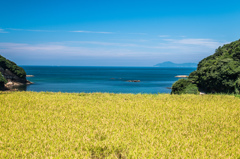 海に迫る棚田