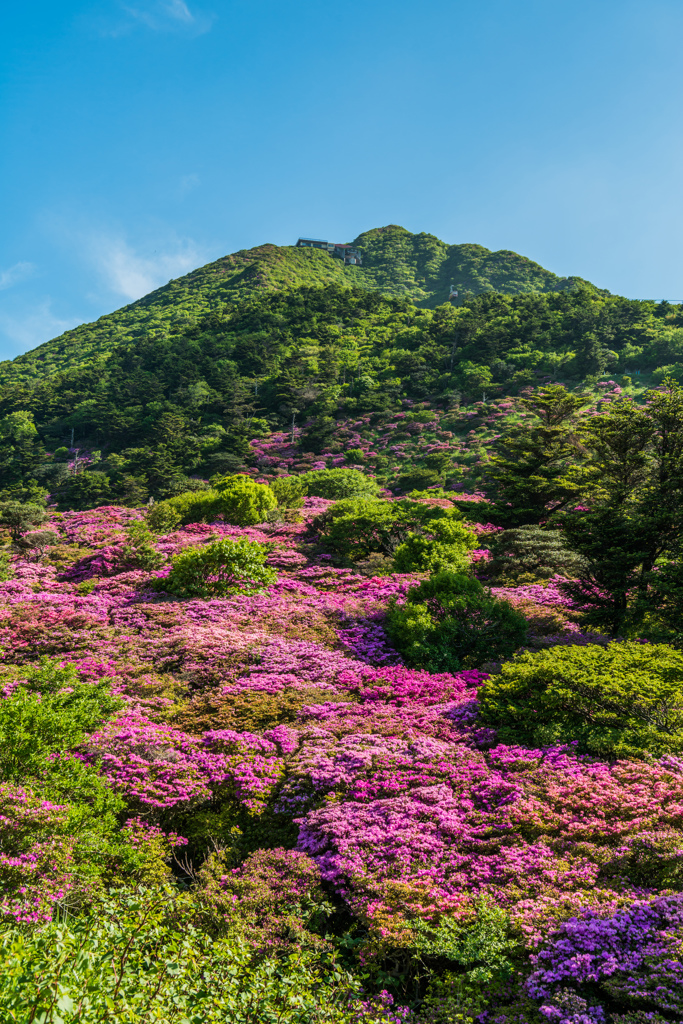 朝の仁田峠-3