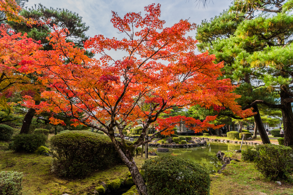 多久西渓公園-3