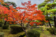 多久西渓公園-3