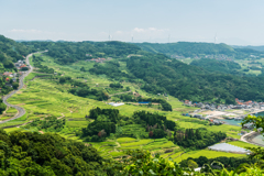 大浦の棚田-1