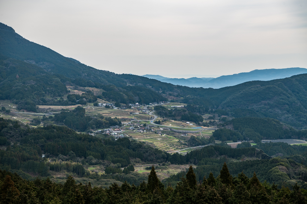 川内地区の棚田
