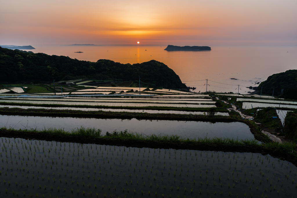 納所2015.05.01_1857