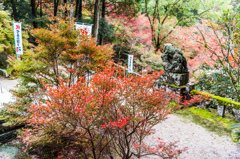 ドウダンツツジ@仁比山神社-1