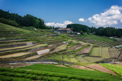 鬼木の棚田