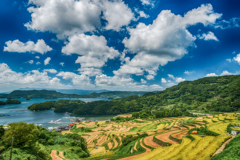 大浦の棚田-3