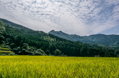 太平の棚田から八幡岳