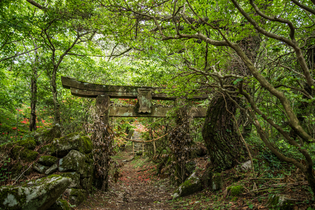 鳥居