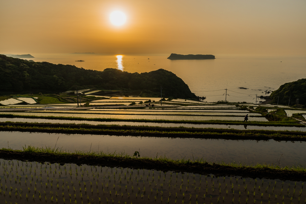 納所2015.05.01_1817