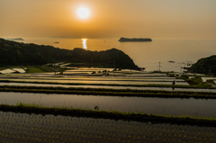 納所2015.05.01_1817