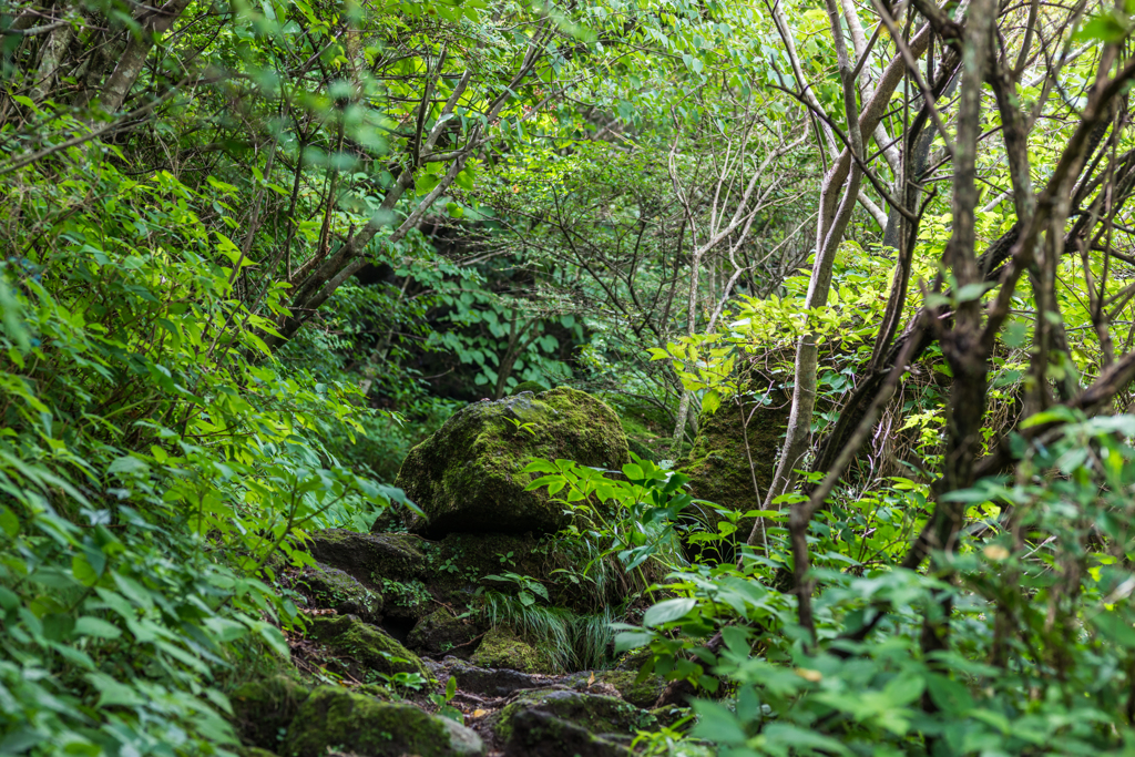鬼人谷の登山道