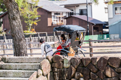 厳マークの人力車