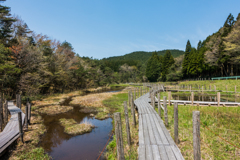 樫原湿原-2