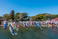 川上峡の鯉のぼり