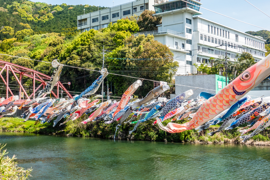 川上峡の鯉のぼり